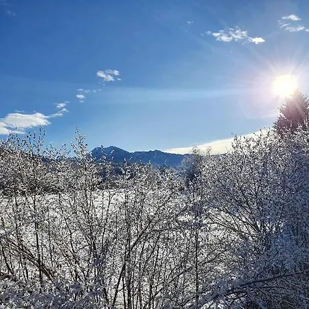 Hammer - Alpenblick