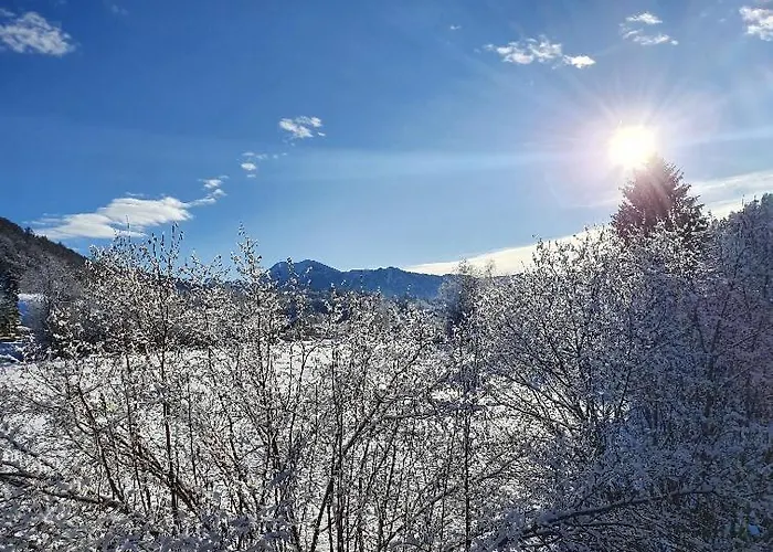 Hammer - Alpenblick